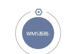 冠邑信息打通线上线下，随时随地查看新上海WMS系统产品