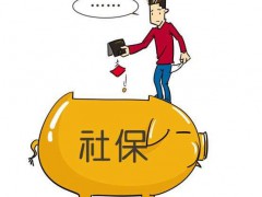重庆红七成都代理专注于成都代理市场需求