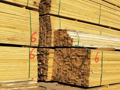 甘肃钢材木材市场-兰州提供专业的钢材木材