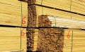甘肃钢材木材市场-兰州提供专业的钢材木材