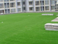 绿化草坪价格多少钱-滨州，天津，淄博，北京绿化草坪