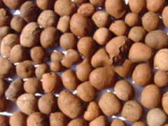 陶粒生产-莞穗陶粒供应厂家直销的陶粒
