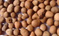 陶粒生产-莞穗陶粒供应厂家直销的陶粒