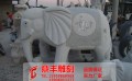 宁夏大象石雕-出售福建大象石雕