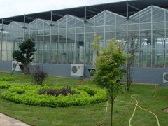 漳州育苗|哪里有提供好用的玻璃智能温室大棚