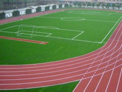 惠州塑胶跑道_塑胶跑道-惠州市力强体育设施有限公司
