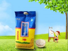 绥化稻花香|龙玉田水稻种植-知名的哈尔滨五常稻花香厂商