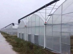 云南花卉种植温室大棚-供应云南质量好的温室大棚恒温