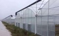 云南花卉种植温室大棚-供应云南质量好的温室大棚恒温