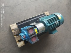立式圆弧泵厂家_沧州哪里能买到优良圆弧齿轮泵