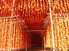 盒装柿饼价格|潍坊地区哪里有卖优良柿饼