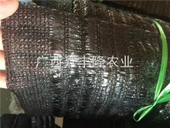 广西遮阳膜|广西嘉丰隆农业出售划算的遮阳网