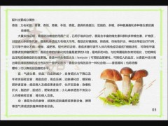 优良海南香菇粉供应商推荐-海南食品厂家