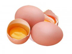 散养土鸡蛋市场行情，物超所值的散养土鸡蛋，河南益隆供应