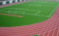 惠州塑胶跑道_ 塑胶跑道厂家-惠州市力强体育设施有限公司