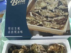 上海生蚝销售-贝拉水产供应销量好的生蚝