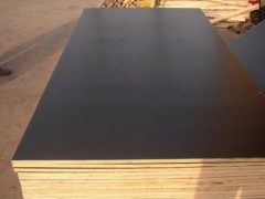 建筑模板规格-辽宁耐用的建筑模板供应