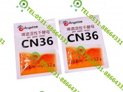 在哪能买到价位合理的国产安琪CN36酵母_高性价国产安琪CN
