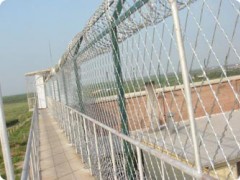 百色监狱护栏安装厂家_哪儿能买到好用的南宁监狱护栏网呢