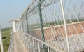 百色监狱护栏安装厂家_哪儿能买到好用的南宁监狱护栏网呢