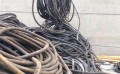 性价比高的电缆线海口哪里有-昌江电缆高价回收