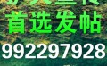 南昌代发帖子上海网络品牌建设就这么简单q872881218